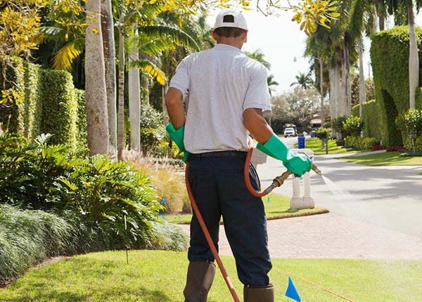 About Westminster SC Pest Control Pros